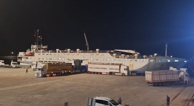 Yüzen Ahır Bandırma Çelebi Limanına gelmeye devam ediyor