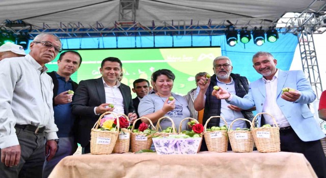 Mersin'de 14. Gezende Erik Festivali yapıldı