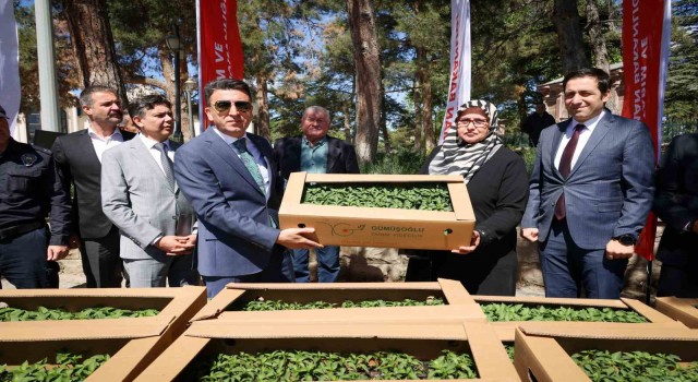 61 bin 780 adet Ata tohumu gerçekleşti
