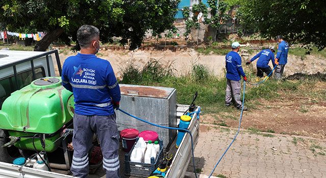 Adana Büyükşehir sinek ve haşere ile mücadeleyi aralıksız sürdürüyor