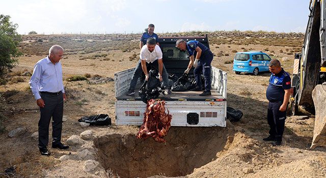 Akdeniz Zabıtası Menşei Belirsiz 500 Kilo Et Ele Geçirdi