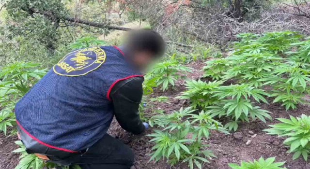 Akhisarda uyuşturucu operasyonu