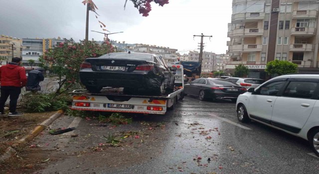 Alanyada refüje çıkan otomobil ağaçları devirdi