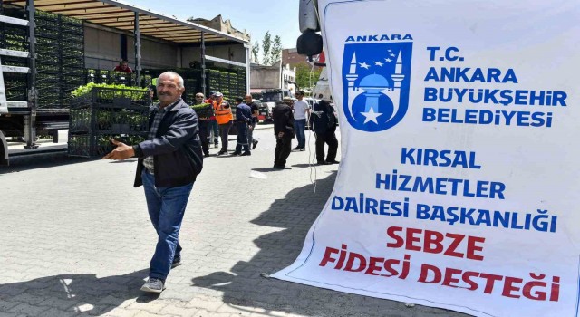 Ankara Büyükşehir Belediyesinin sebze fidesi dağıtımı tekrar başladı