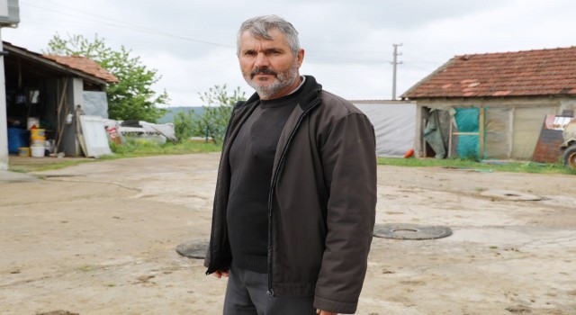 Başıboş köpekler, 60dan fazla tavuk ve ördek yavrusunu telef etti