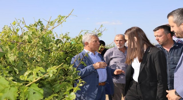 Başkan Durbay dolunun zarar verdiği alanları inceledi