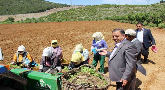 Baştuğdan ‘Çiftçiler Günü mesajı