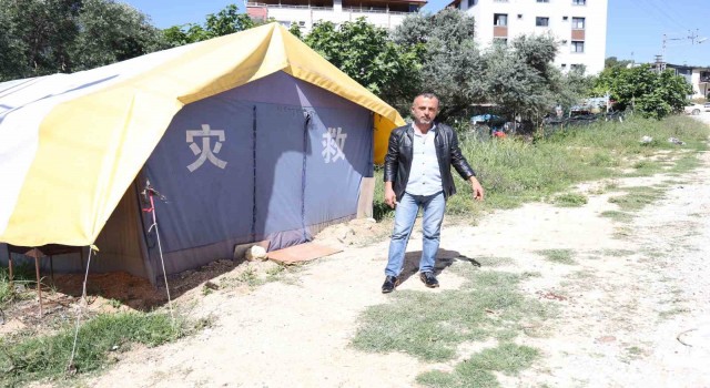 ‘Benden korkmuyorlar, alıştılar” diyen vatandaş, aç kalan domuzları köpek maması ve yemek artıklarıyla besliyor