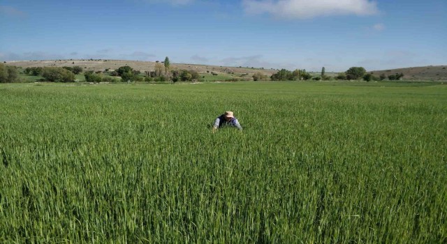 Beyşehirde meyve bahçeleri sıkı takipte