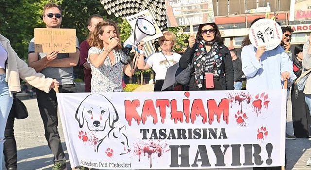 Beyzade Kayabaşı'ndan Katliam Tasarısına Karşı Eylem