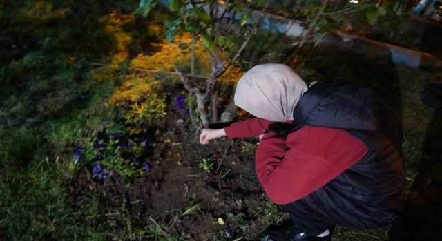 Bilecikte yüzyıllardır süren gelenek bu yıl da yaşatıldı