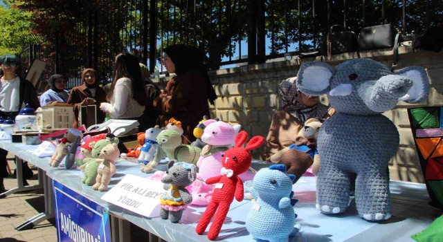 Bingölde gençlerin hazırladığı el emeği ürünler sergilendi