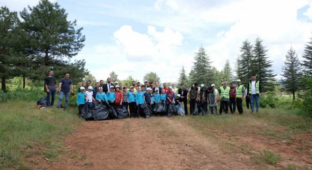 Bingölde yangınları önlemek için ormandaki çöpler toplandı