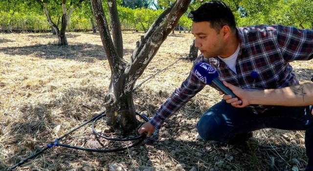 Bodrumda tarımsal üretimde su tasarrufu