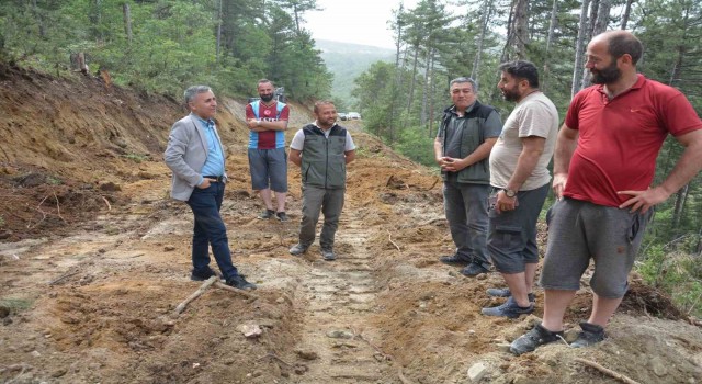 Bölge Müdürü Erdal Dingil, Emet ve Hisarcıkta incelemelerde bulundu