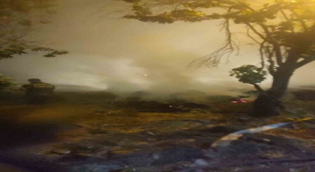 Bozdoğanda 70 ton saman kül oldu