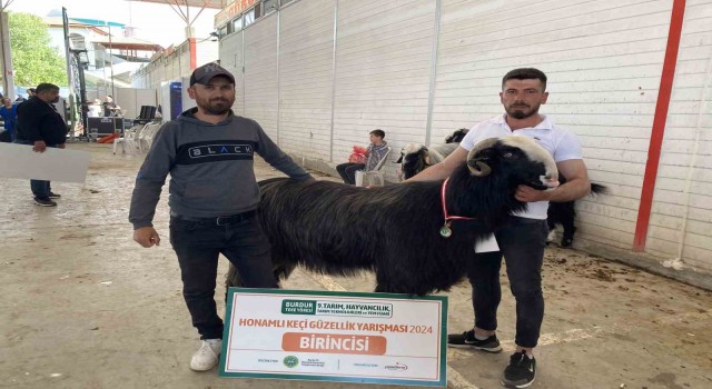 Burdurda teke ve koçların güzellik yarışması renkli görüntülere sahne oldu