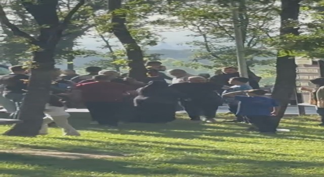 Bursada piknik alanında satırlı masa kavgası...