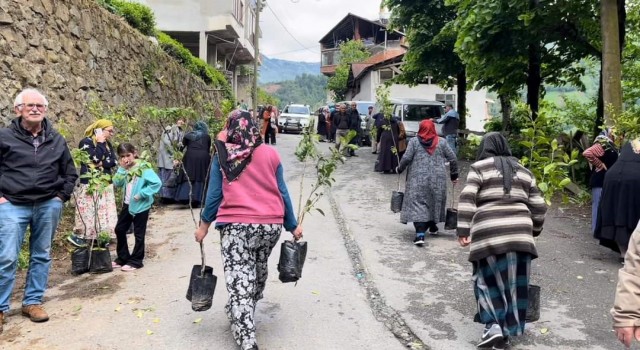 Çamlıhemşinde bin meyve fidanı ve 300 ata tohumu dağıtıldı