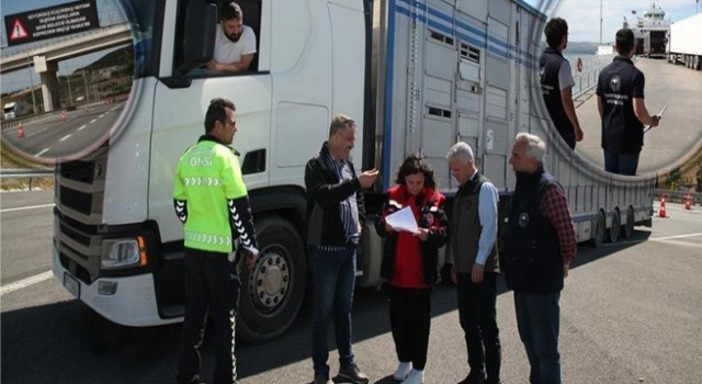 Çanakkalede canlı hayvan nakil araçları kontrolleri sıklaştırıldı