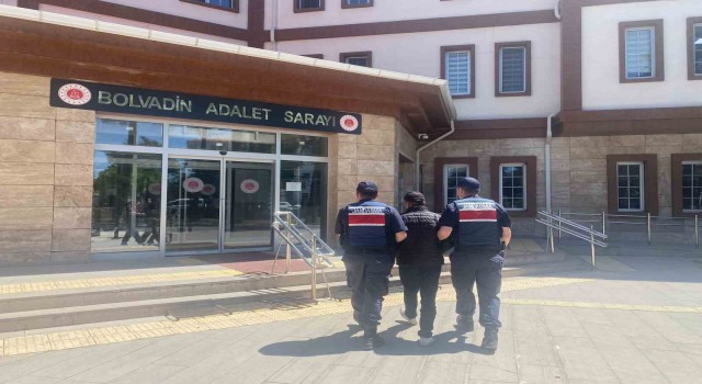 Çeşitli suçlardan hapis cezası ile aranan 2 şahsı jandarma yakaladı