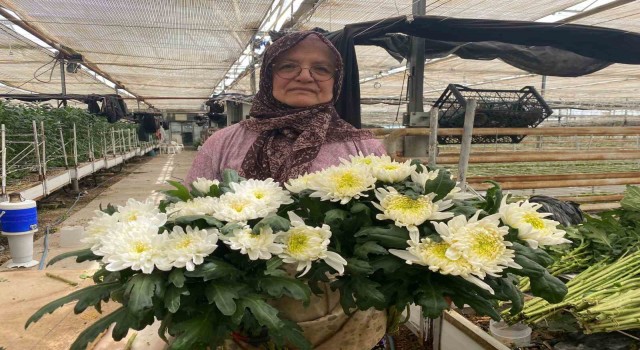 Çiçek üreticileri Anneler Gününe hazırlanıyor