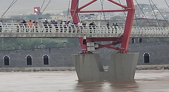 Cizrede köprüden nehre atlayan kadın botla kurtarıldı