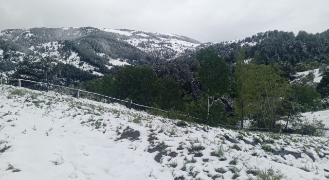 Çorumda mayıs ayında kar sürprizi