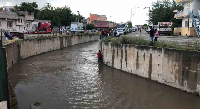 Dereye düşen kediyi kurtaran öğrenci kendisi mahsur kaldı