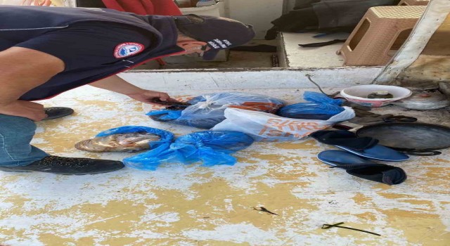 Didimde kanuna aykırı avlananlar denetime takıldı