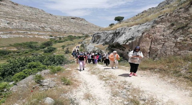 Doğaseverler Halfetide karagülü aradı