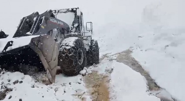 Doski Vadisinde mayıs ayında 5 metreyi bulan kar görüntüleri hayrete düşürüyor