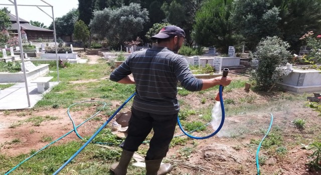 Efelerde mezarlıklar temizleniyor