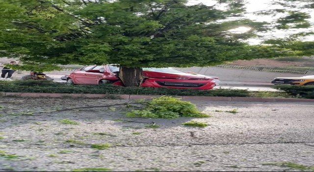 Elazığda otomobil ağaca çarptı: 3 yaralı