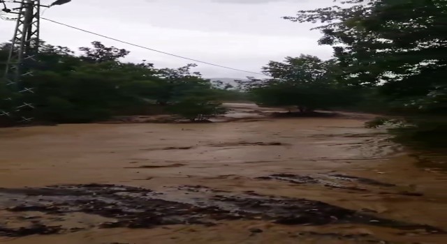 Elazığda sağanak yağış etkili oldu: Dereler taştı, tarım arazileri zarar gördü