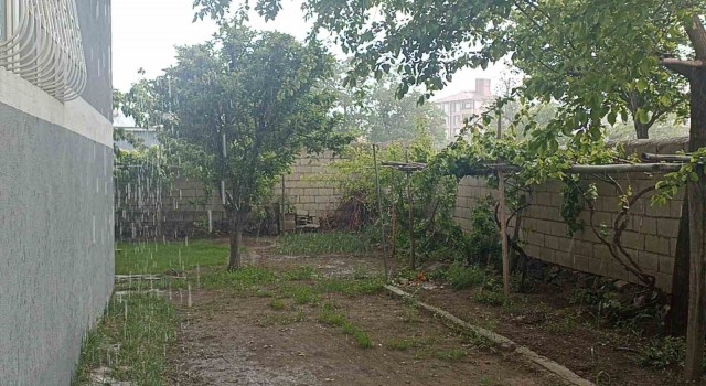 Ercişte sağanak etkili oldu