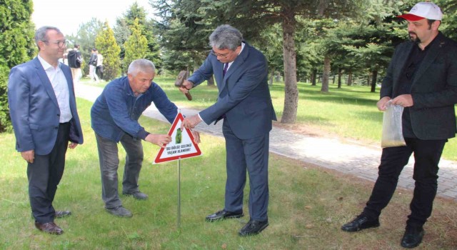 Erciyes Üniversitesi gelengileri besledi