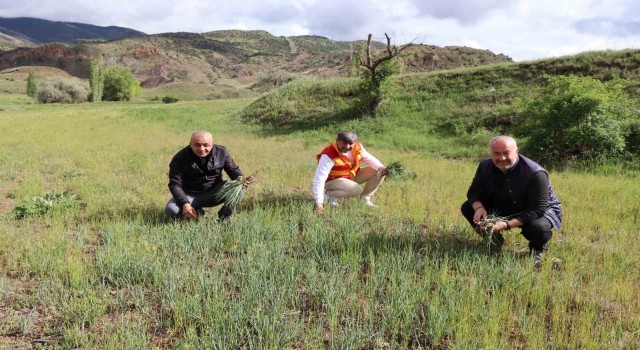 Erzurumun dağlarında yemlik bereketi