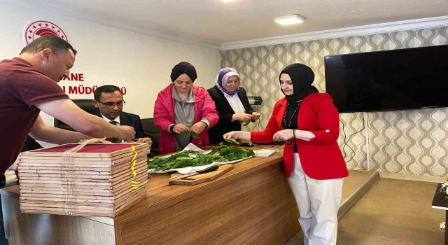 Gümüşhanede ipek böceği larvaları üreticilere teslim edildi
