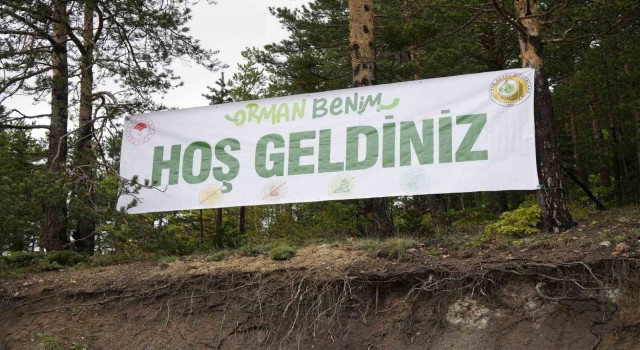 Gümüşhanede ‘Orman Benim etkinliğinde ormanda temizlik