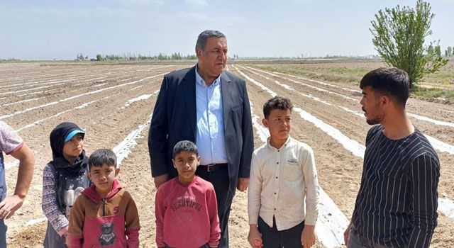 Gürer: “Çocuklar Tarlada Değil, Okulda Olmalı”