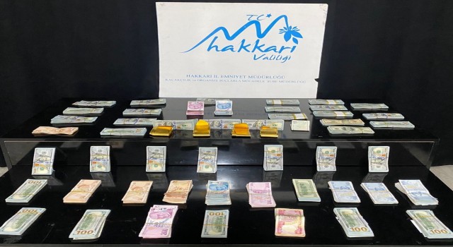 Hakkaride 358 bin 430 dolar ile 4 kilo kaçak altın ele geçirildi