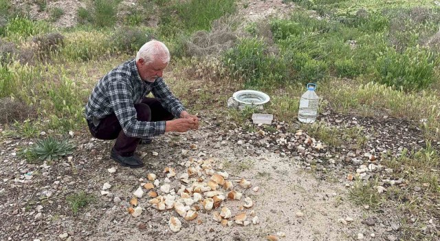 Hayvanları besleyen ayakkabı tamircisini Cumhurbaşkanı Erdoğan Külliyede ağırlayacak