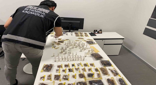 İstanbul Havalimanında kaçakçılık operasyonu: ABDli müze müdürü tarantula ve akrep kaçakçılığı yaparken yakalandı