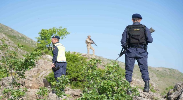 Jandarma ekipleri terörü bitirdikleri dağlarda şimdilerde ters lale nöbeti tutuyor