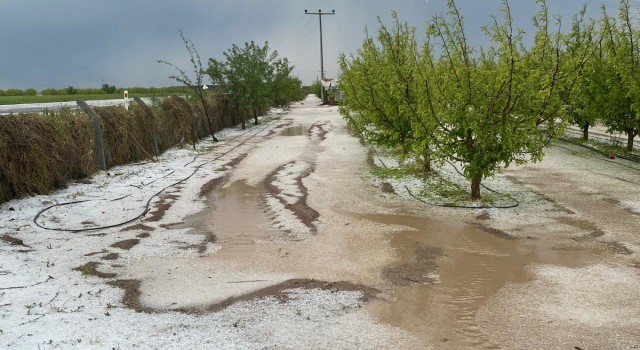 Karamanda dolu ve sel 100 bin dekar ekili alanda zarara yol açtı