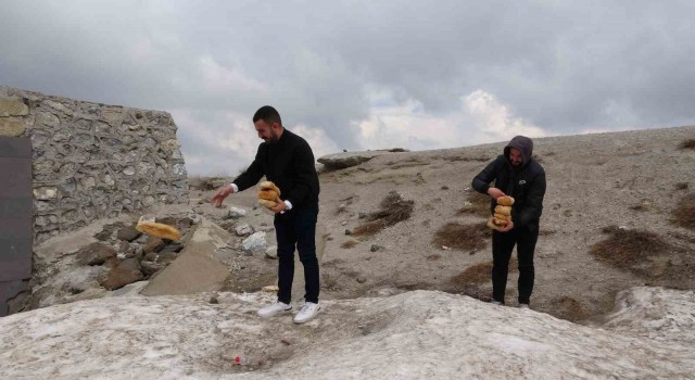 Karla kaplı Nemruttaki yabani hayvanlar unutulmadı