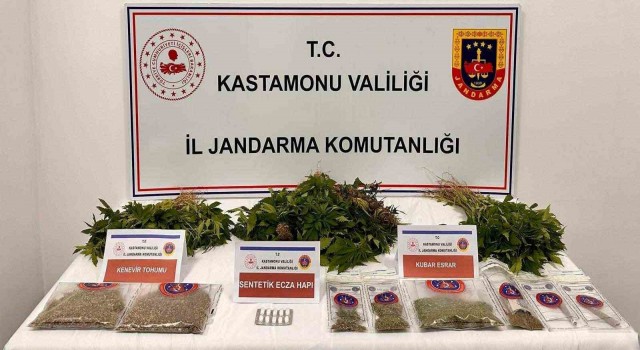 Kastamonuda 371 kök kenevir ele geçirildi: 1 tutuklama