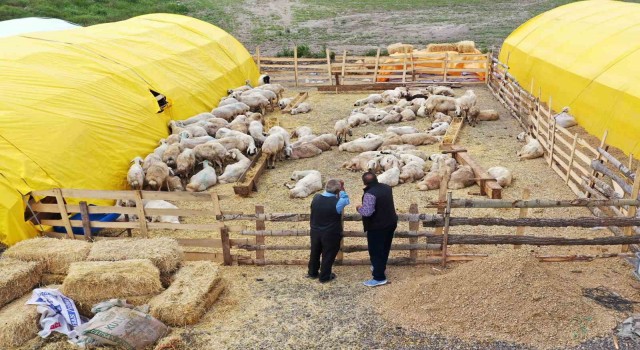 Keçiörende kurban satış alanları için başvurular başladı