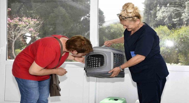 Kedi Kısırlaştırma Merkezine hayvanseverlerin ilgisi her geçen gün artıyor